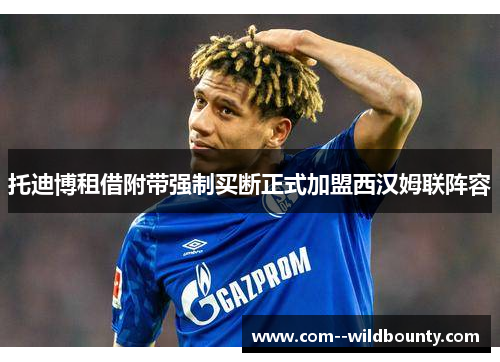 托迪博租借附带强制买断正式加盟西汉姆联阵容