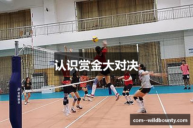 认识赏金大对决